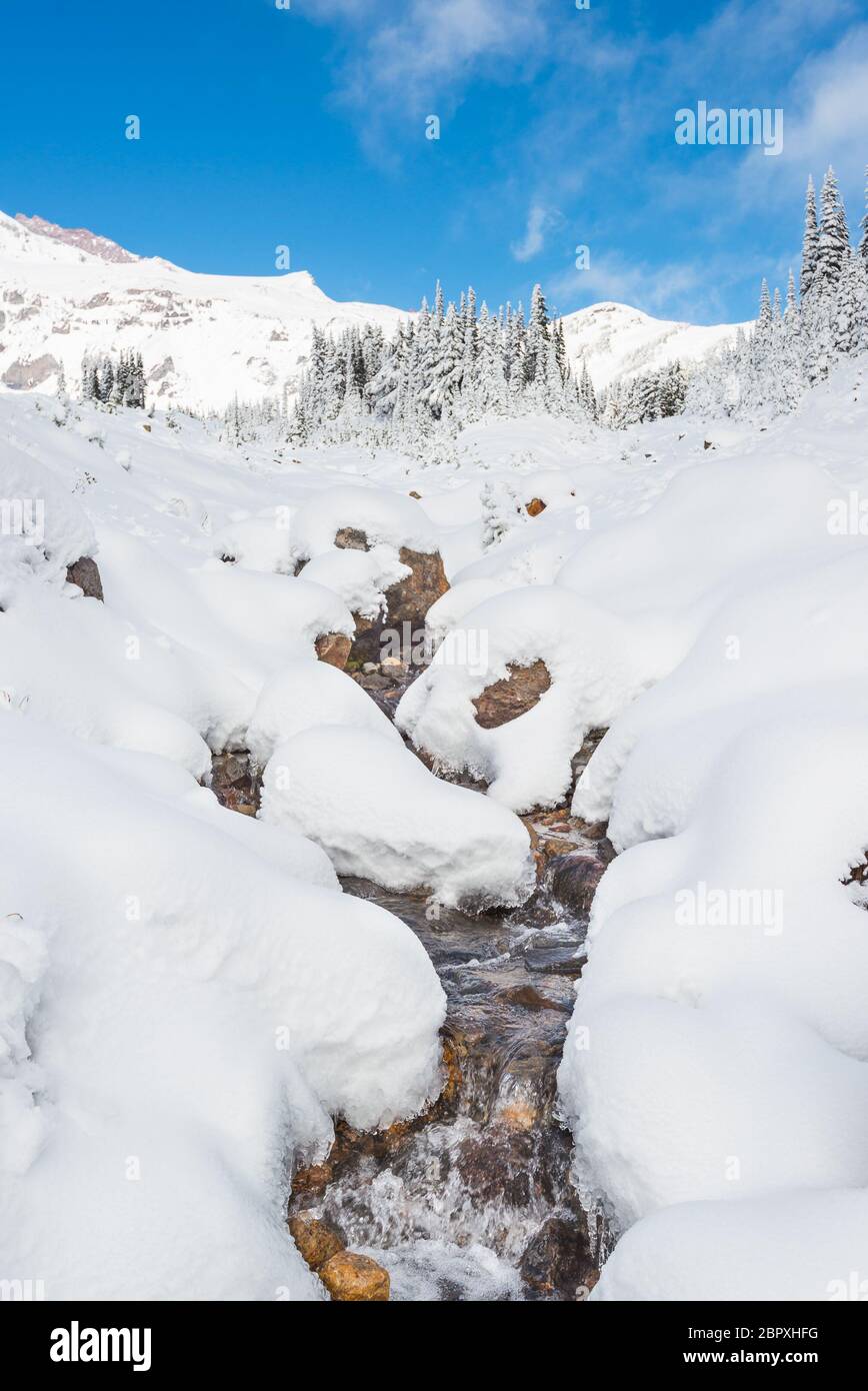 Una copertura del fiume con neve in zona paradiso, vista panoramica del parco nazionale di mt Rainier, Washington, USA. Foto Stock