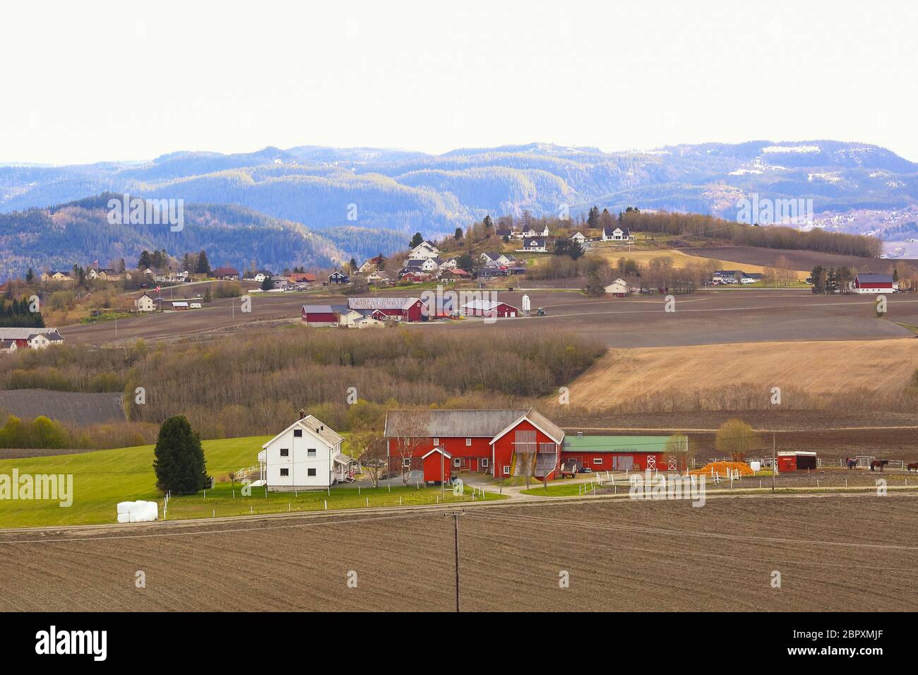 Primavera in Norvegia, vista della zona agricola Byneset vicino Trondheim Foto Stock