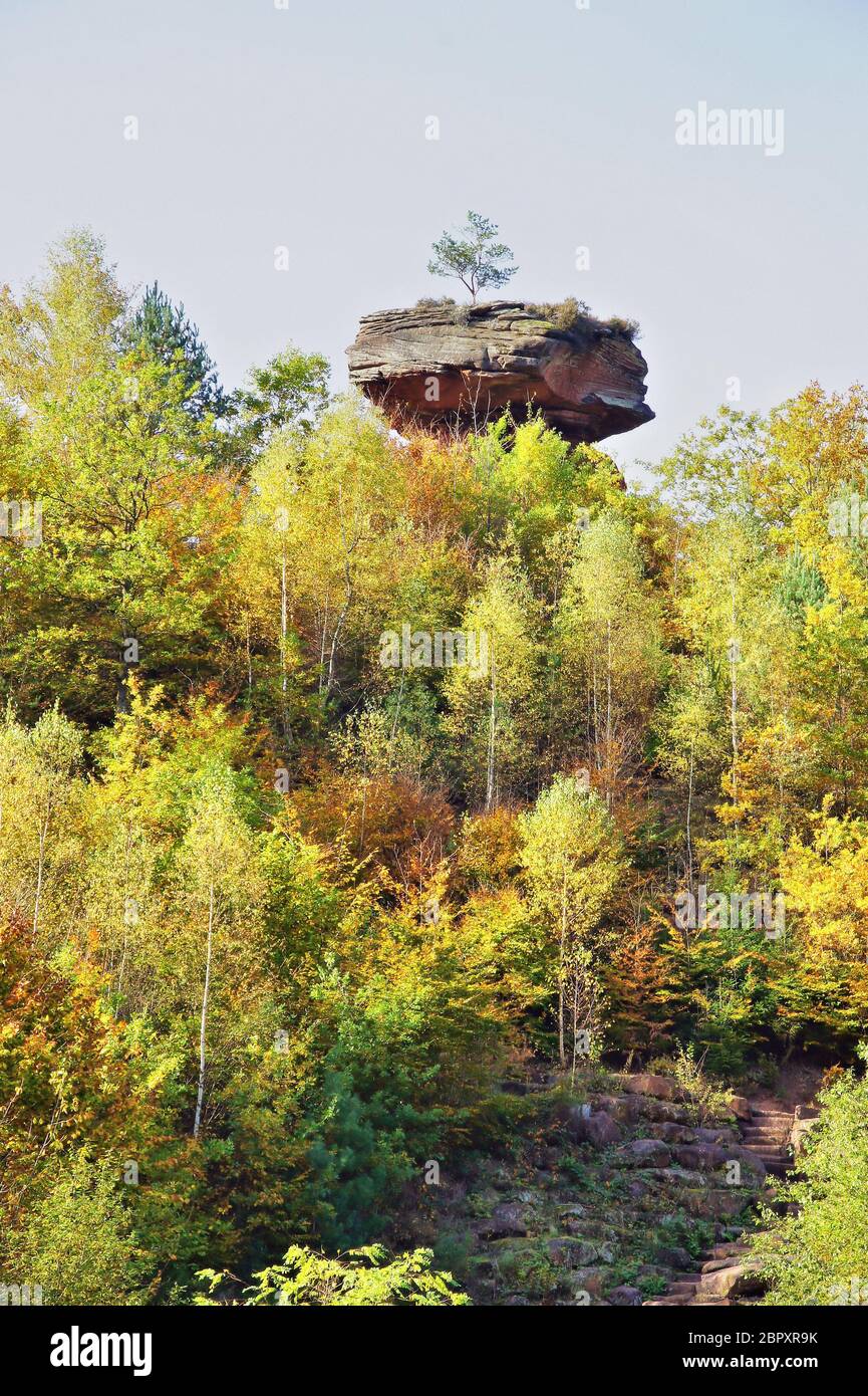 Erlebnispark Teufelstisch bei Hinterweidenthal in der Pfalz im Herbst Foto Stock