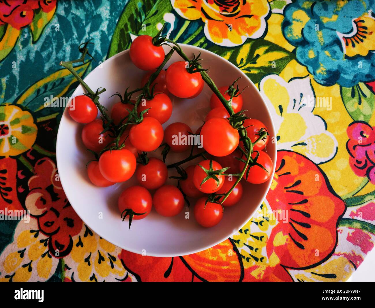 Un colpo ad alto angolo di pomodori ciliegini in una ciotola bianca su una superficie floreale colorata Foto Stock