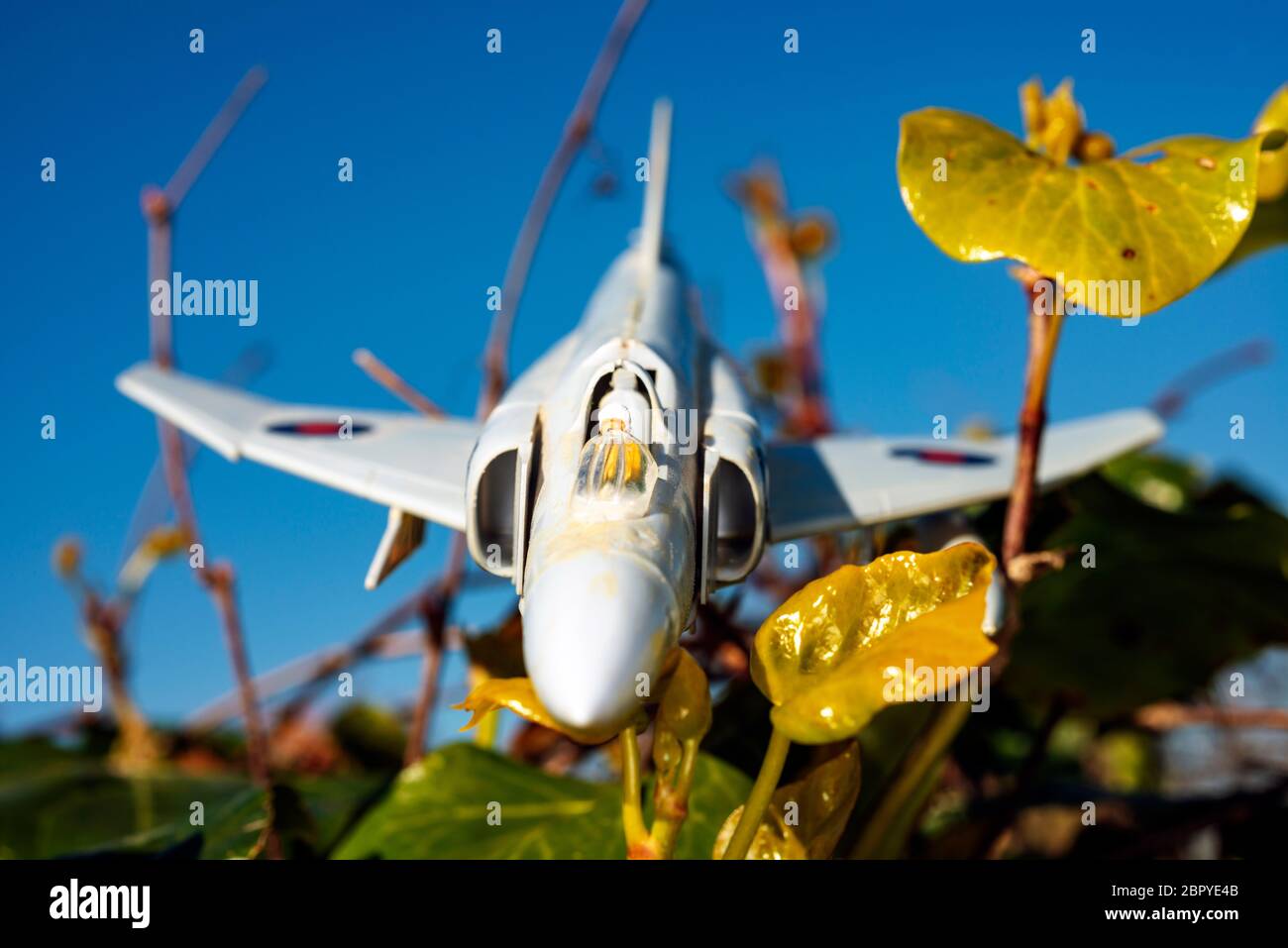 Airfix modello plastico Phantom F4 jet fighter in una siepe da giardino Foto Stock