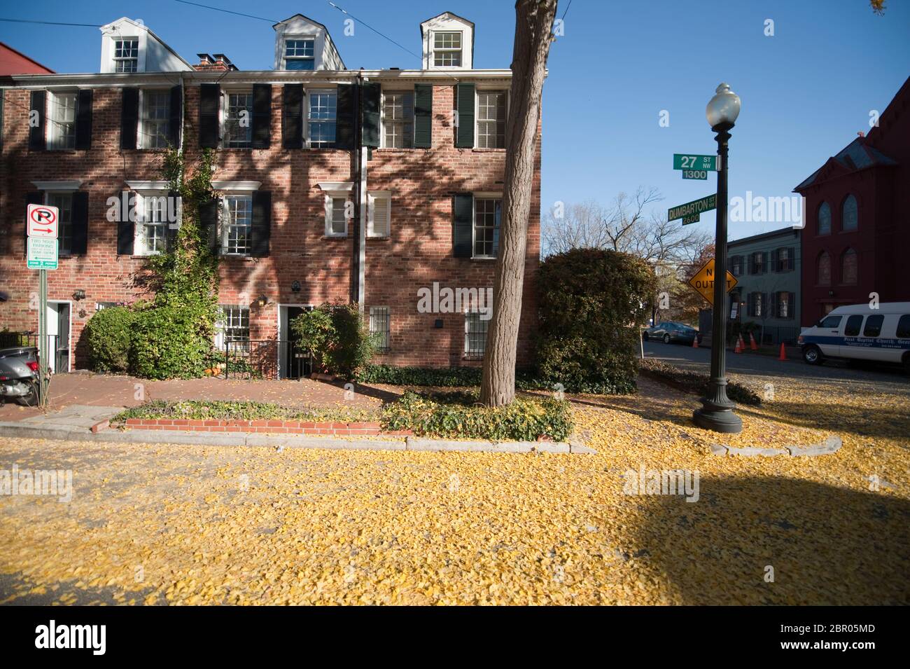 Le foglie di Ginko coprono una strada in autunno nel quartiere storico di Georgetown, Washington DC, USA Foto Stock