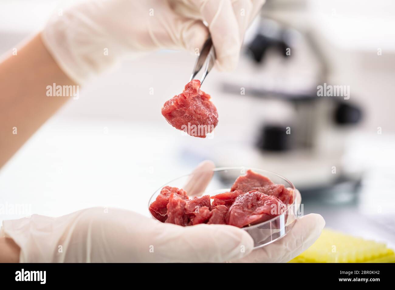 Close-up di ricercatore di ispezione campione di carne in laboratorio Foto Stock