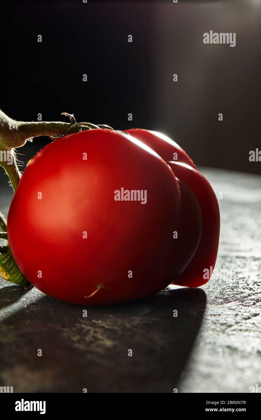 Frutta o verdura brutta. Pomodoro mutante gravemente malformato. I negozi di alimentari preferiscono soprattutto frutta e verdura di qualità migliore. La frutta brutta non è in alta d Foto Stock