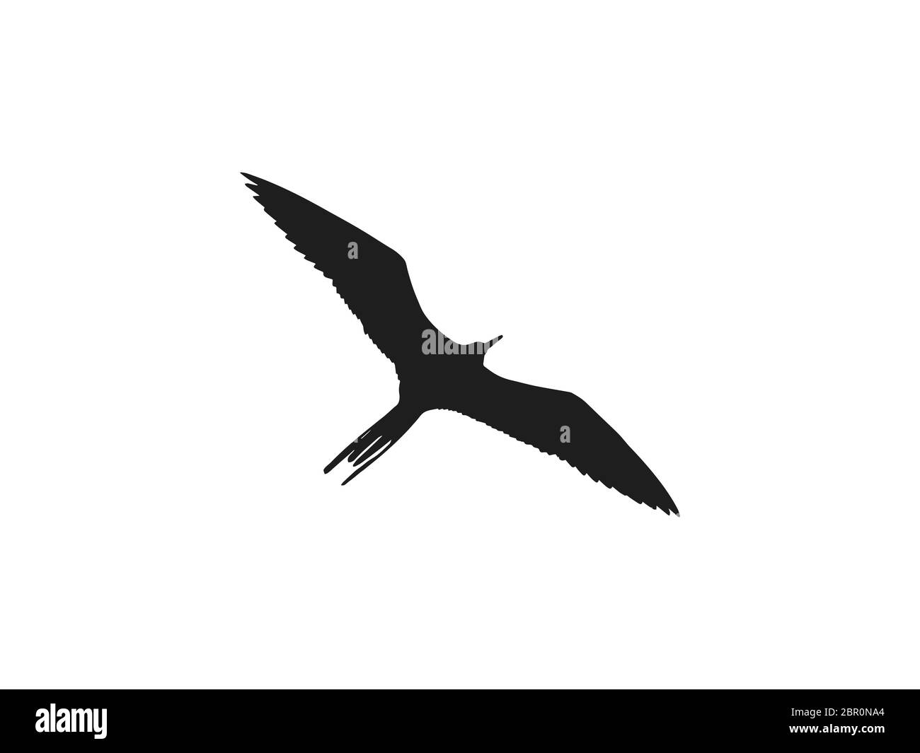 Uccello, icona della natura. Illustrazione vettoriale, design piatto. Illustrazione Vettoriale