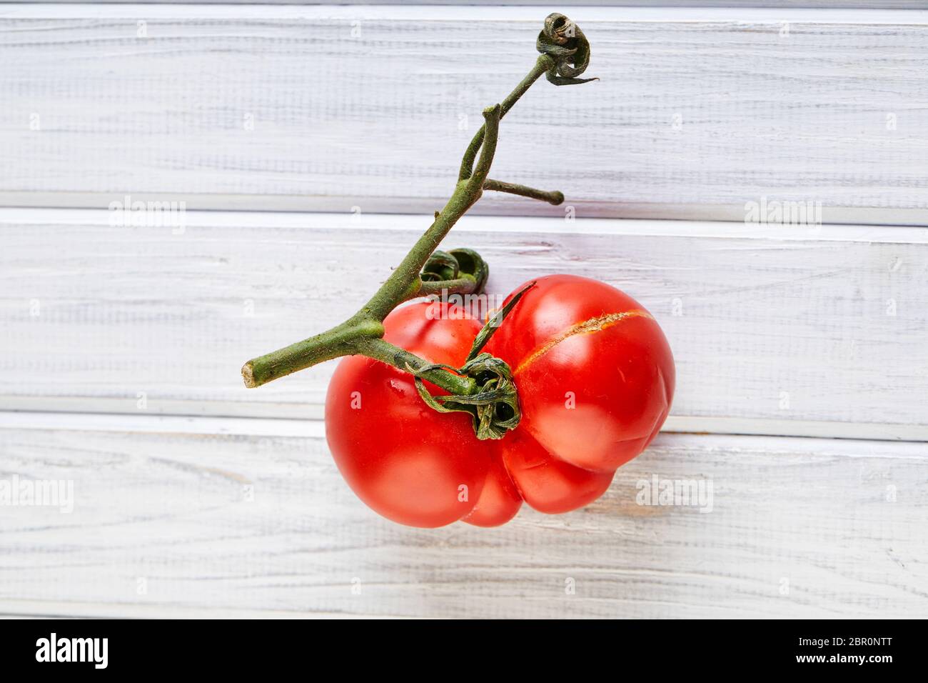 Frutta o verdura brutta. Pomodoro mutante gravemente malformato. I negozi di alimentari preferiscono soprattutto frutta e verdura di qualità migliore. La frutta brutta non è in alta d Foto Stock