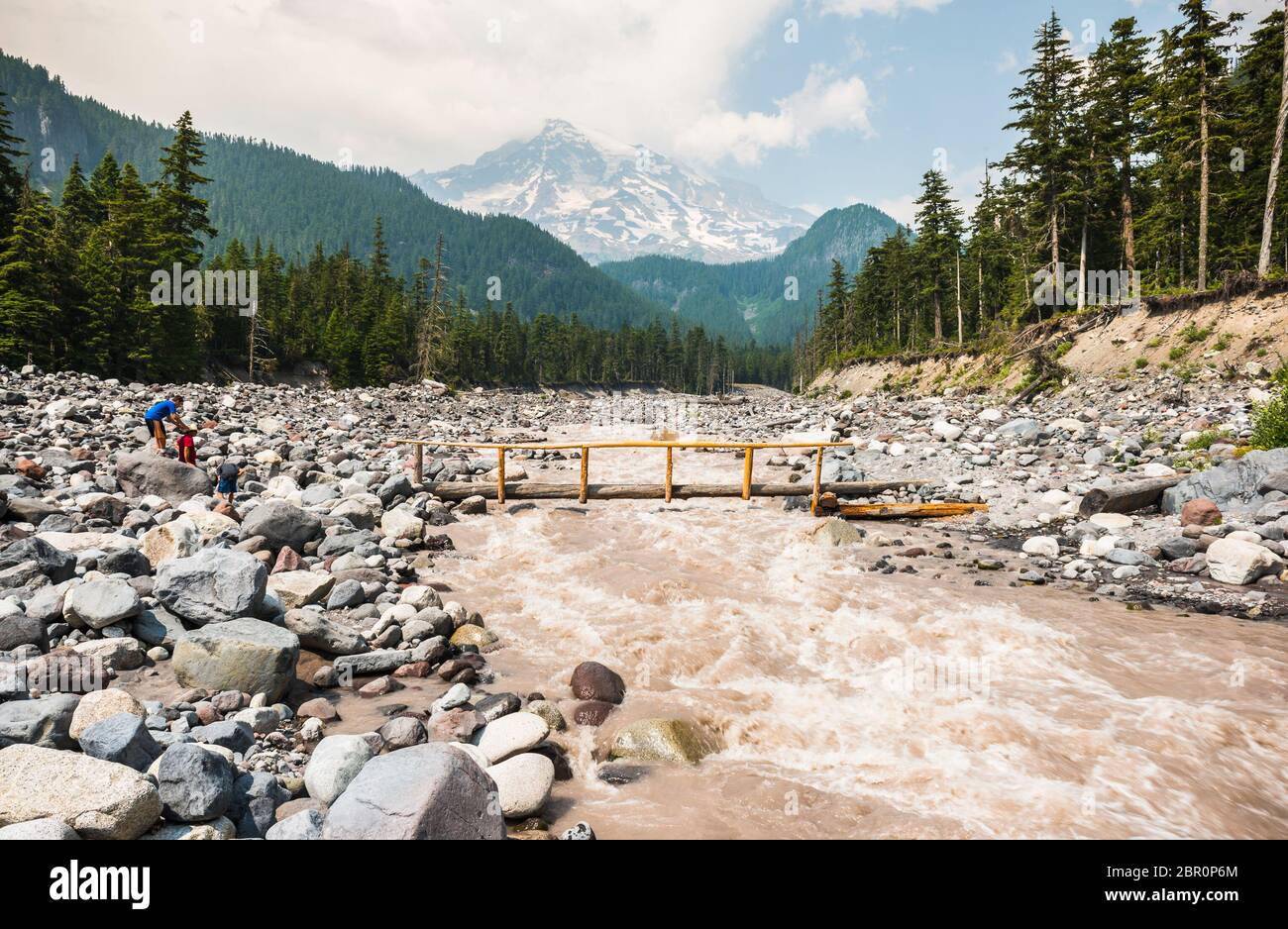 Fiume Nisqually nel parco nazionale di mt Rainier, Washington, stati uniti. Foto Stock