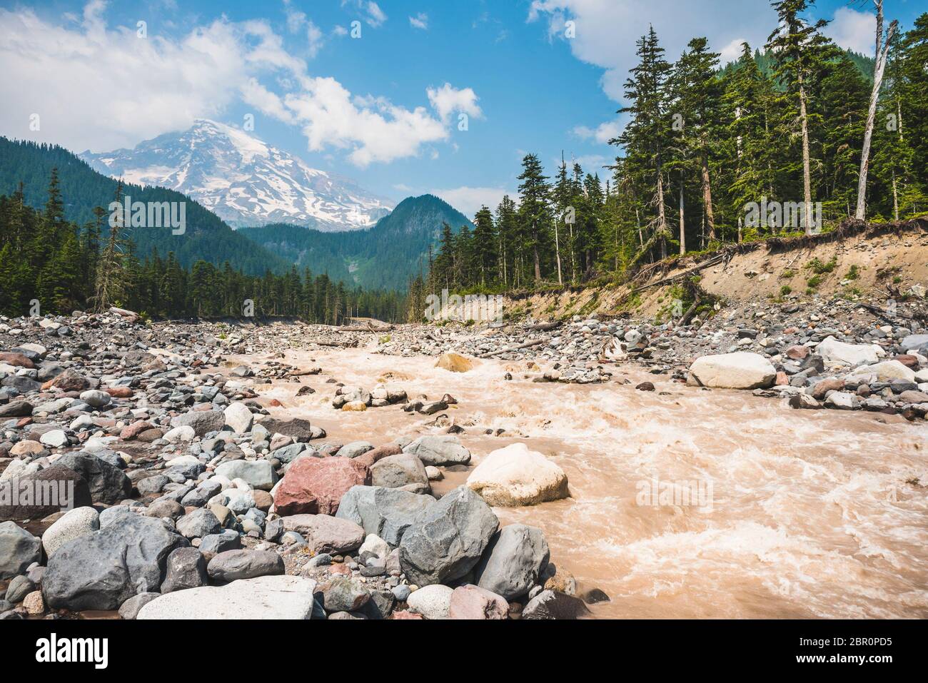 Fiume Nisqually nel parco nazionale di mt Rainier, Washington, stati uniti. Foto Stock