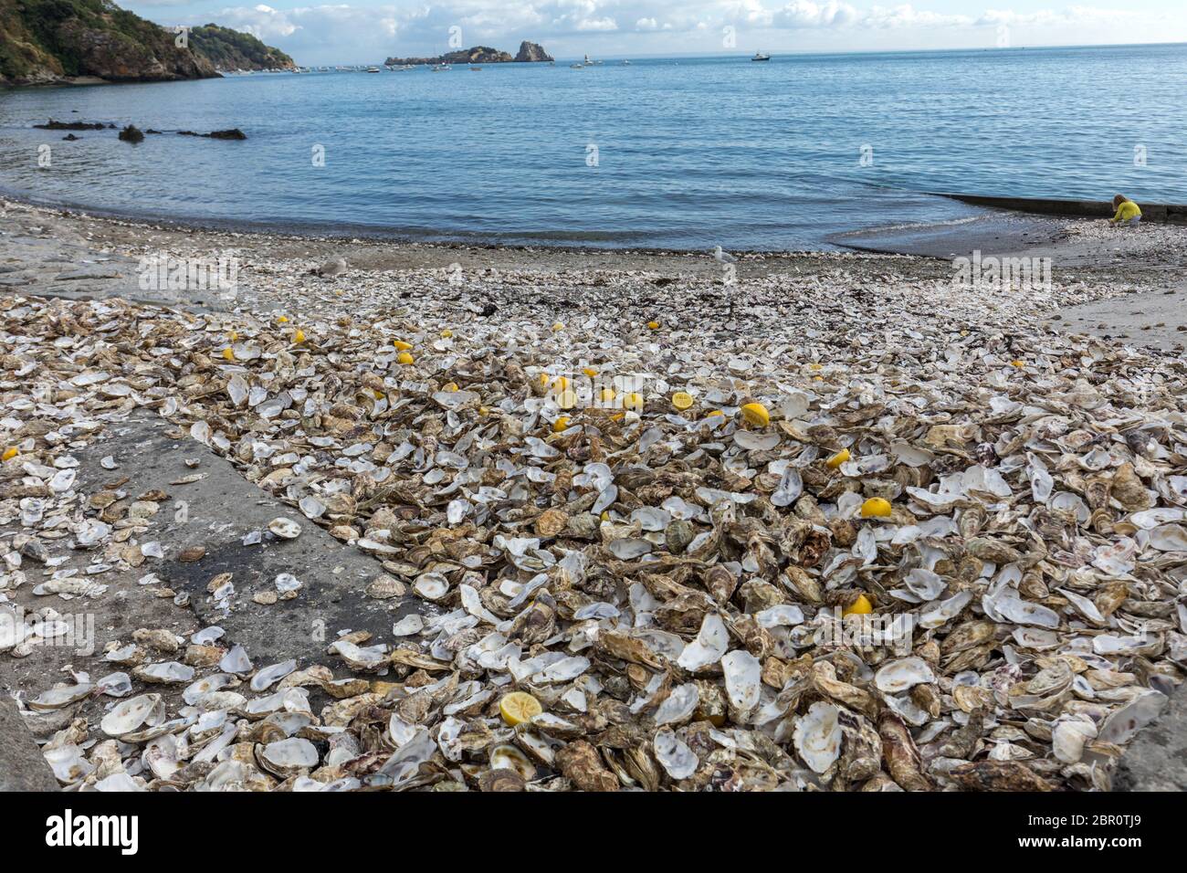 Migliaia di gusci vuoti di ostriche mangiato gettato sul pavimento del mare a Cancale, famoso per allevamenti di ostriche. Brittany, Francia Foto Stock