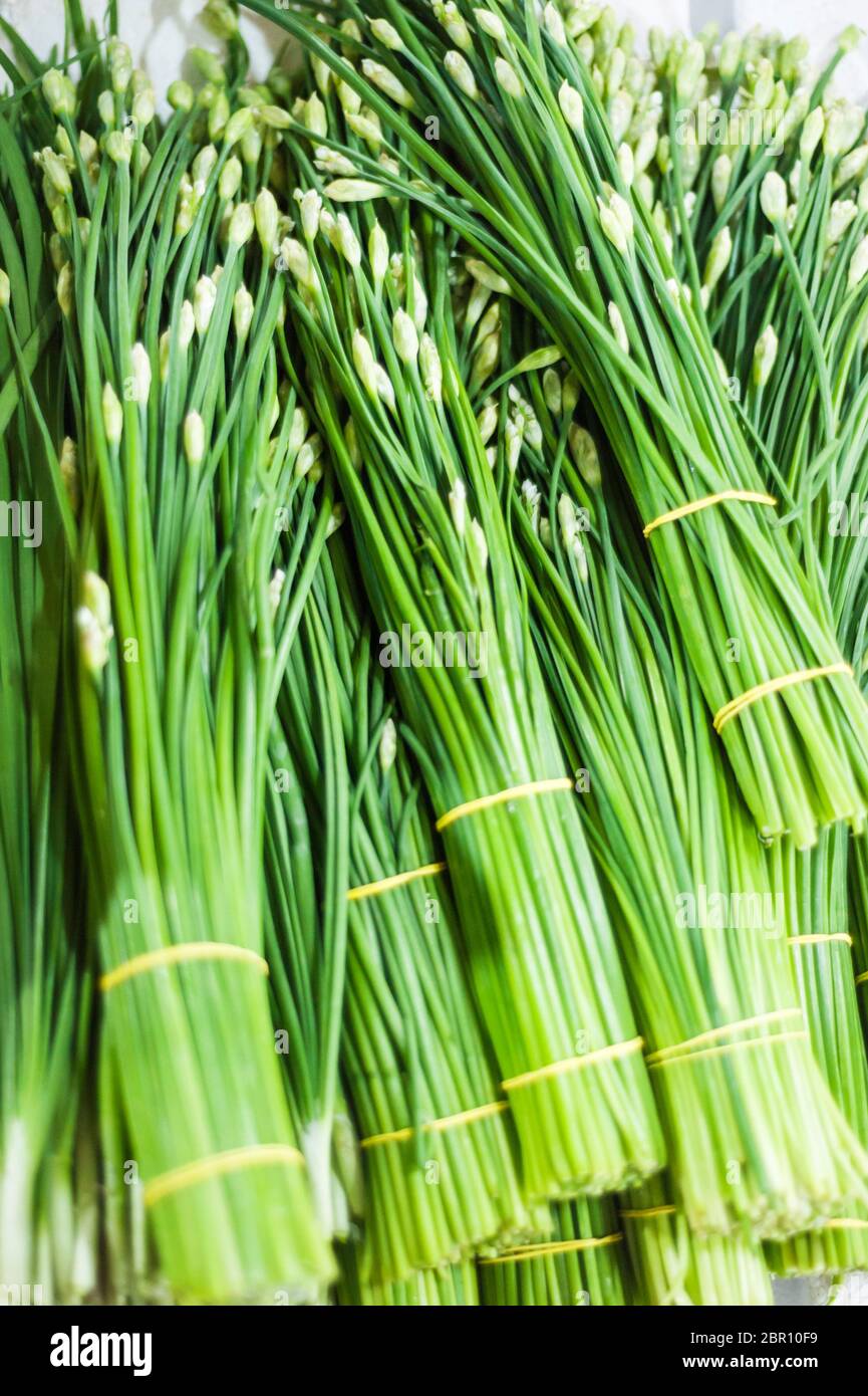 Boccioli di fiori di erba cipollina in vendita in un mercato. Siem Reap, Cambogia, Sud-est asiatico Foto Stock