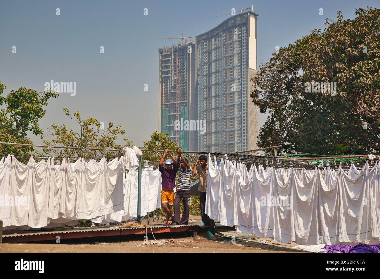 Appendendo fino a lavare ad asciugare ad una lavanderia commerciale a Mumbai, Bombay nello stato di Maharashtra, India. Alto edificio sullo sfondo Foto Stock