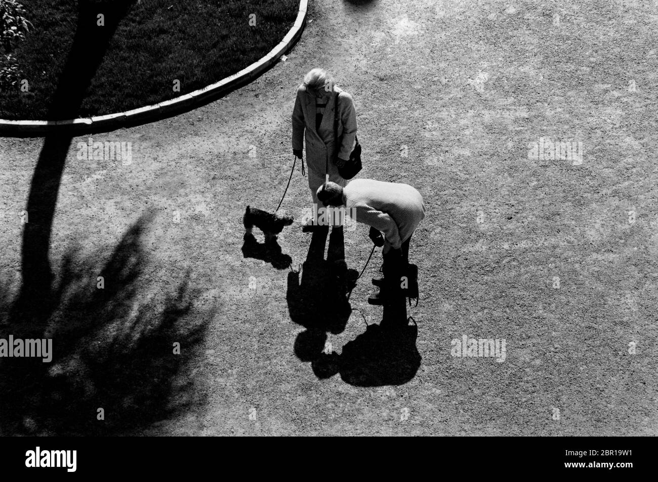 Elezioni francesi 1997. Affairs de la Chat a Menton, Francia meridionale Foto Stock