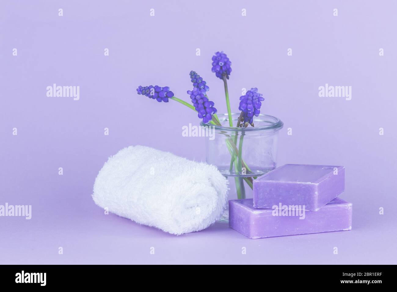 Blüten in der Vase, Frühling. Foto Stock