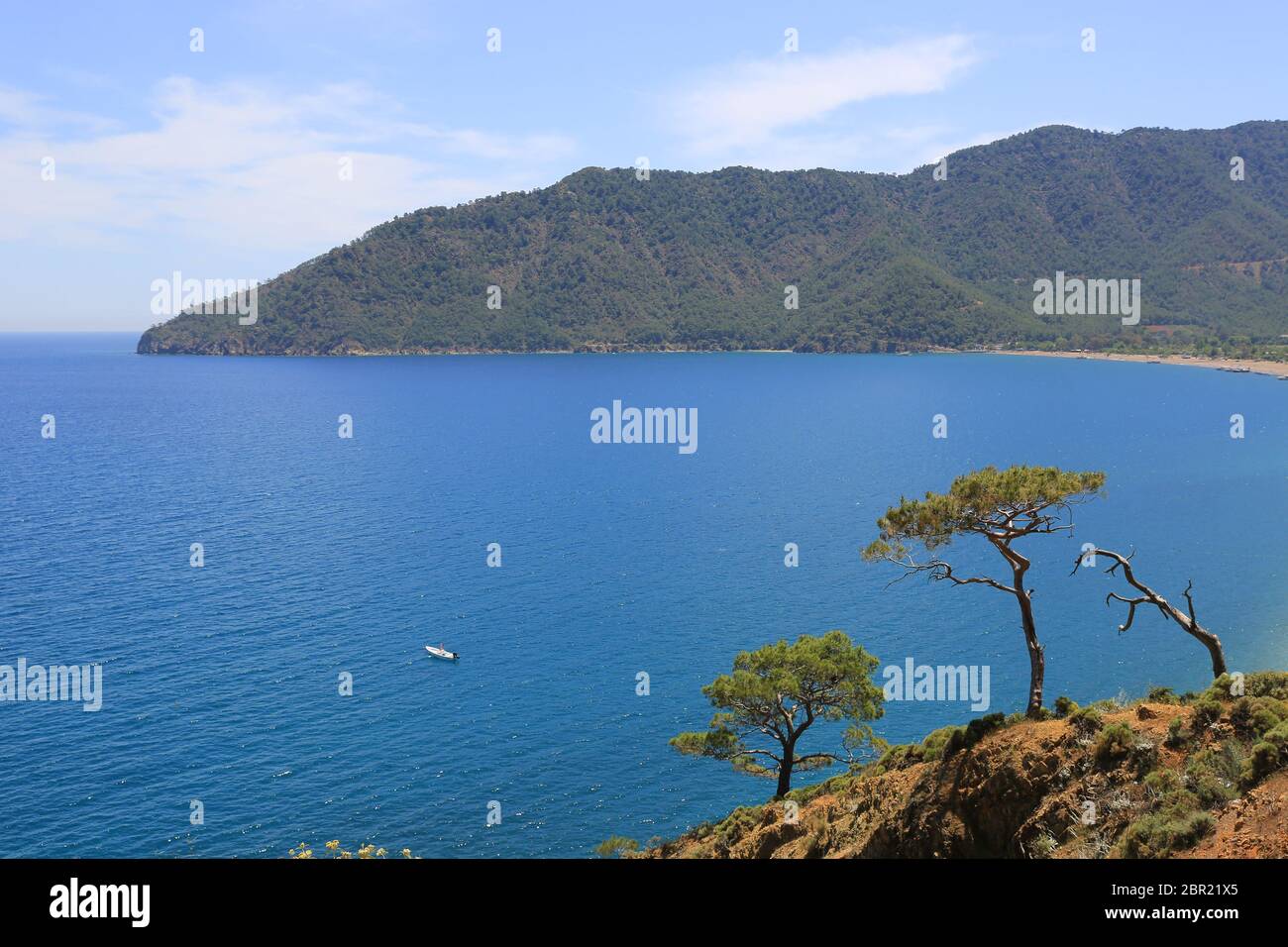 Landsacpe con pini sul pendio di montagna sullo sfondo del mare. Baia di Adrasan, Mar Mediterraneo in Turchia Foto Stock