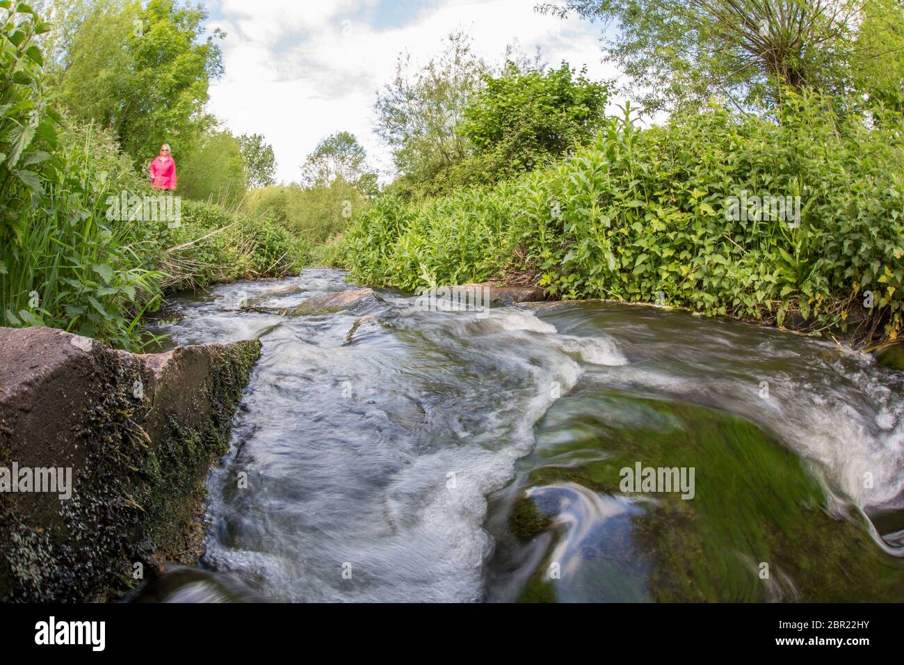 Basso angolo di primo piano di movimento, in esecuzione, l'acqua che scorre nel Regno Unito flusso come donna isolata in cappotto rosa brillante sta camminando oltre sul percorso pubblico sopra. Foto Stock