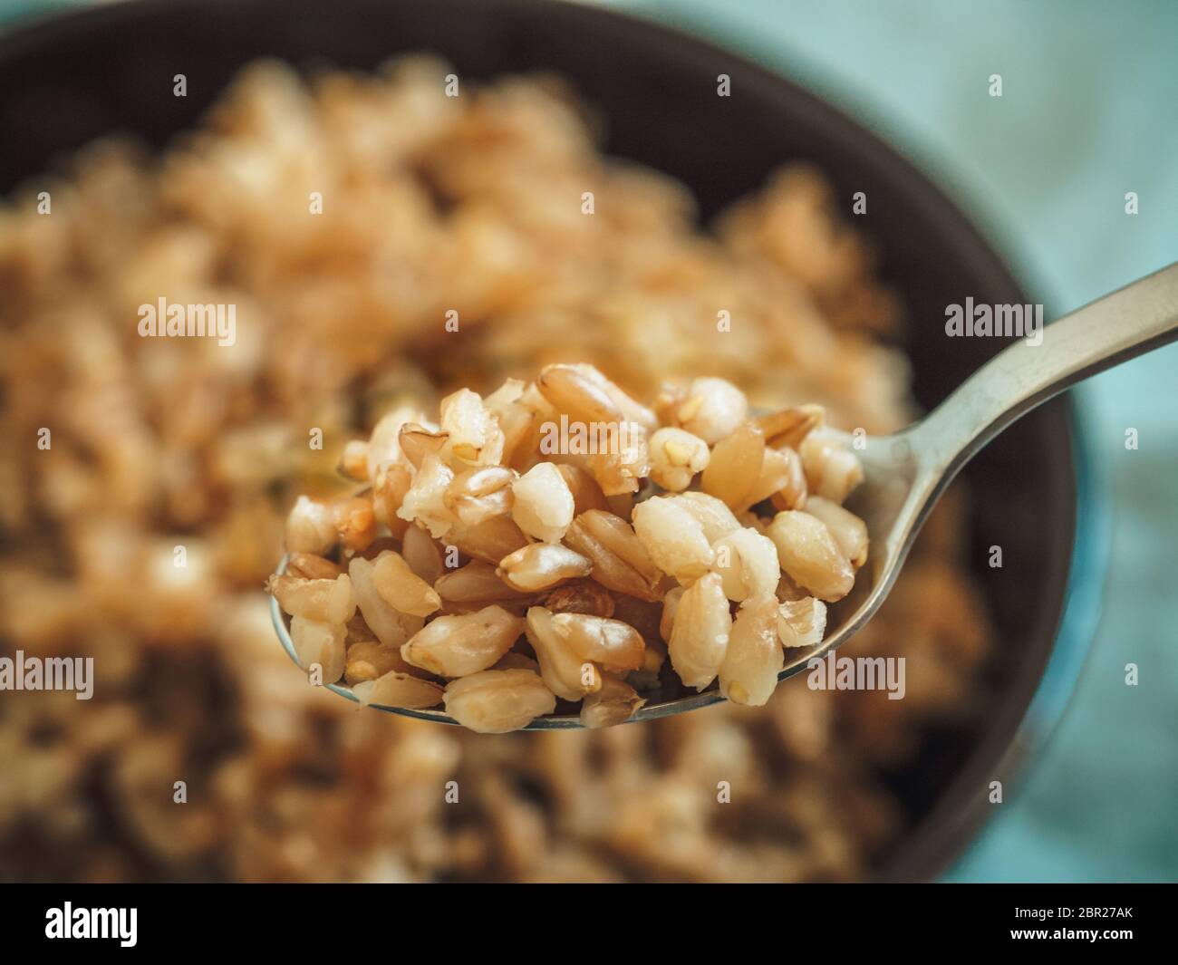 Il farro bollito in cucchiaio e non focalizzato nel recipiente. Il farro cotto semi in fuoco selettivo. Spazio di copia Foto Stock