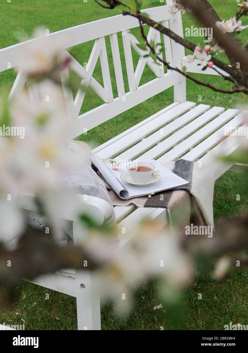 Rivista di lettura e bere tè su una panchina bianca nel giardino sotto un albero di mela fiorente. L'albero di Apple fiorisce in sfocatura Foto Stock