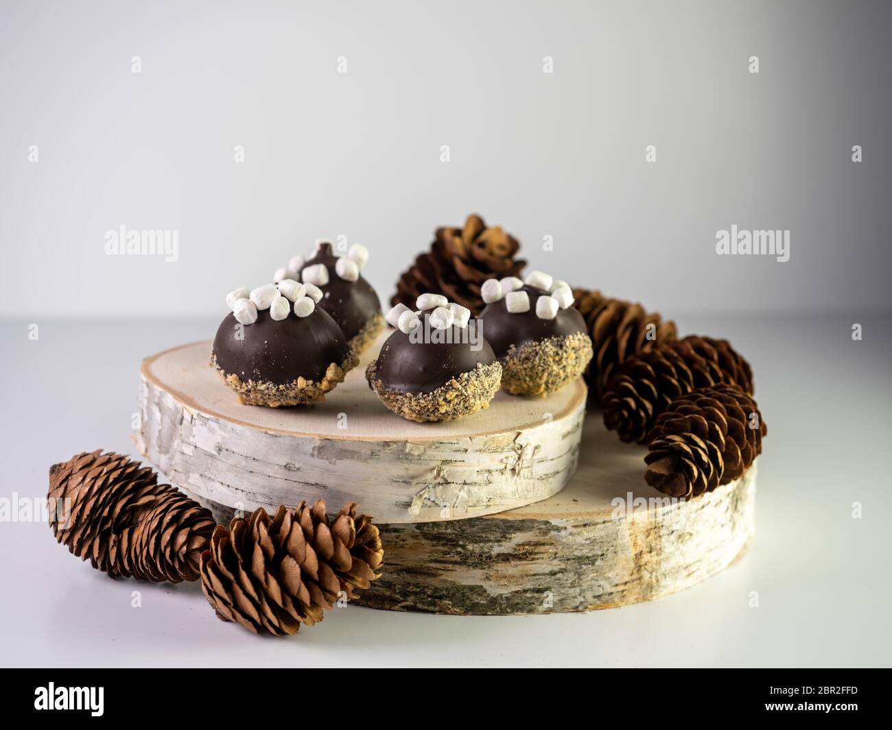 Le palle di pop torta s’MORS ricoperte di mini marshmallow seduti su due pezzi di legno con coni di pino intorno ad esso su uno sfondo bianco. Essico delizioso Foto Stock