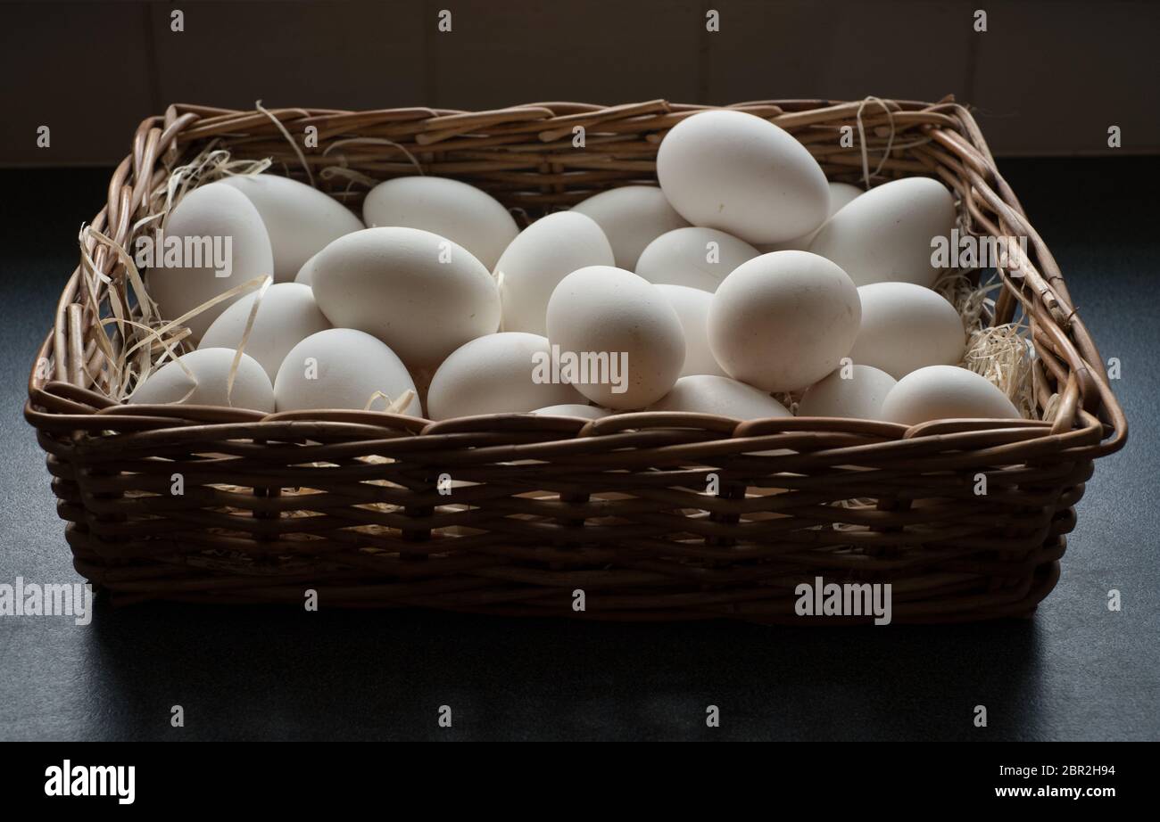 Uova di anatra Foto Stock