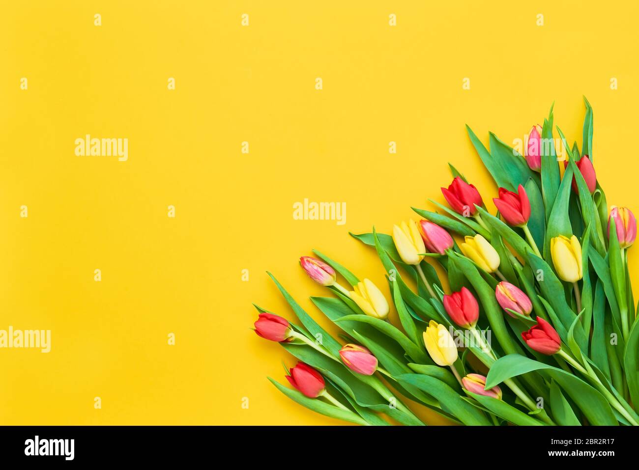 Bouquet di tulipani rossi e gialli su sfondo giallo brillante. Bellissimo biglietto d'auguri. Concetto di vacanza. Spazio di copia per testo, vista dall'alto Foto Stock