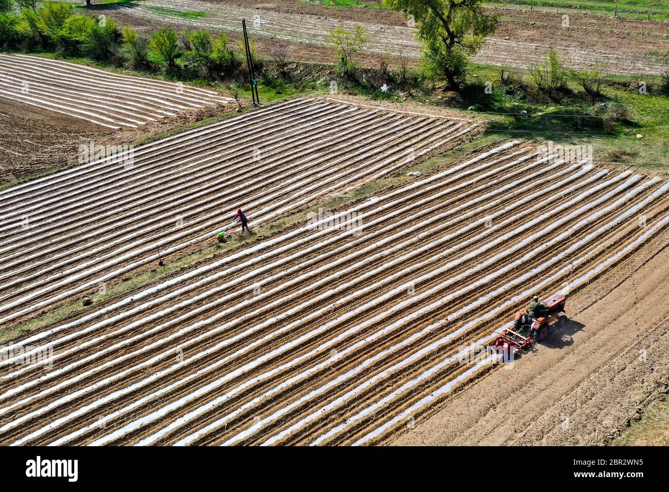 (200520) -- KELAN, 20 maggio 2020 (Xinhua) -- Foto aerea scattata il 19 maggio 2020 mostra gli agricoltori che lavorano nei campi di Songjiagou New Village nella contea di Kelan, nella provincia di Shanxi, nella Cina settentrionale. La contea di Kelan si trova nell'area centrale dell'altopiano di Loess e delle profonde montagne di Lyuliang, con quasi la metà dei suoi villaggi che si trovano di fronte a cattive condizioni di produzione e di vita. Nel 2017 il governo locale ha attuato un piano di delocalizzazione per le famiglie povere in villaggi remoti come un passo chiave per alleviare la povertà e il nuovo villaggio di Songjiagou è diventato un sito di delocalizzazione centralizzato che ha assorbito 145 famiglie povere Foto Stock