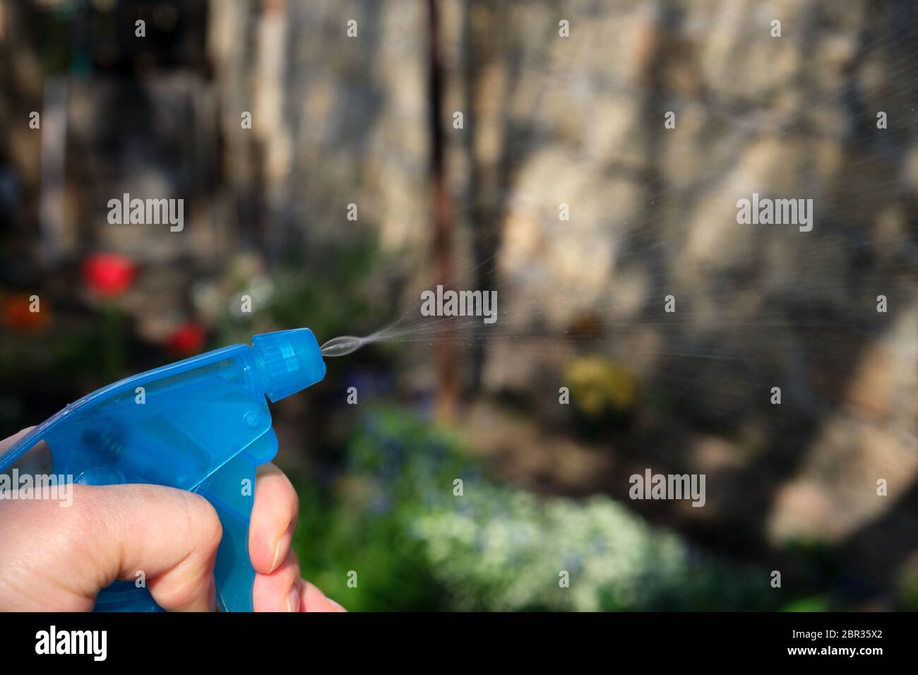 Femmina lato tenendo un blu bottiglia in plastica con liquidi e impianti di spruzzatura con prodotti chimici per uccidere insetti e parassiti, giornata di primavera Foto Stock