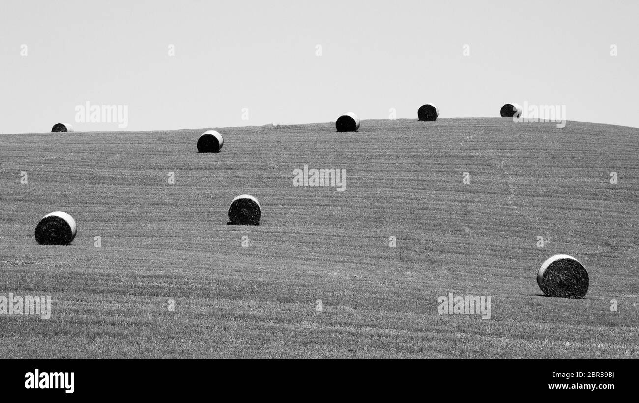 Campagna italiana panorama. Balle rotonde sul campo di grano. Agricoltura, vita rurale Foto Stock