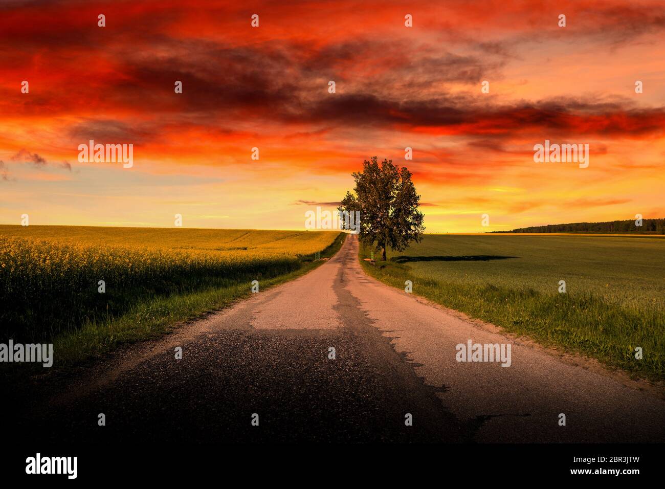 Tramonto su una strada di campagna vuota. Estate sera. Repubblica Ceca. Foto Stock