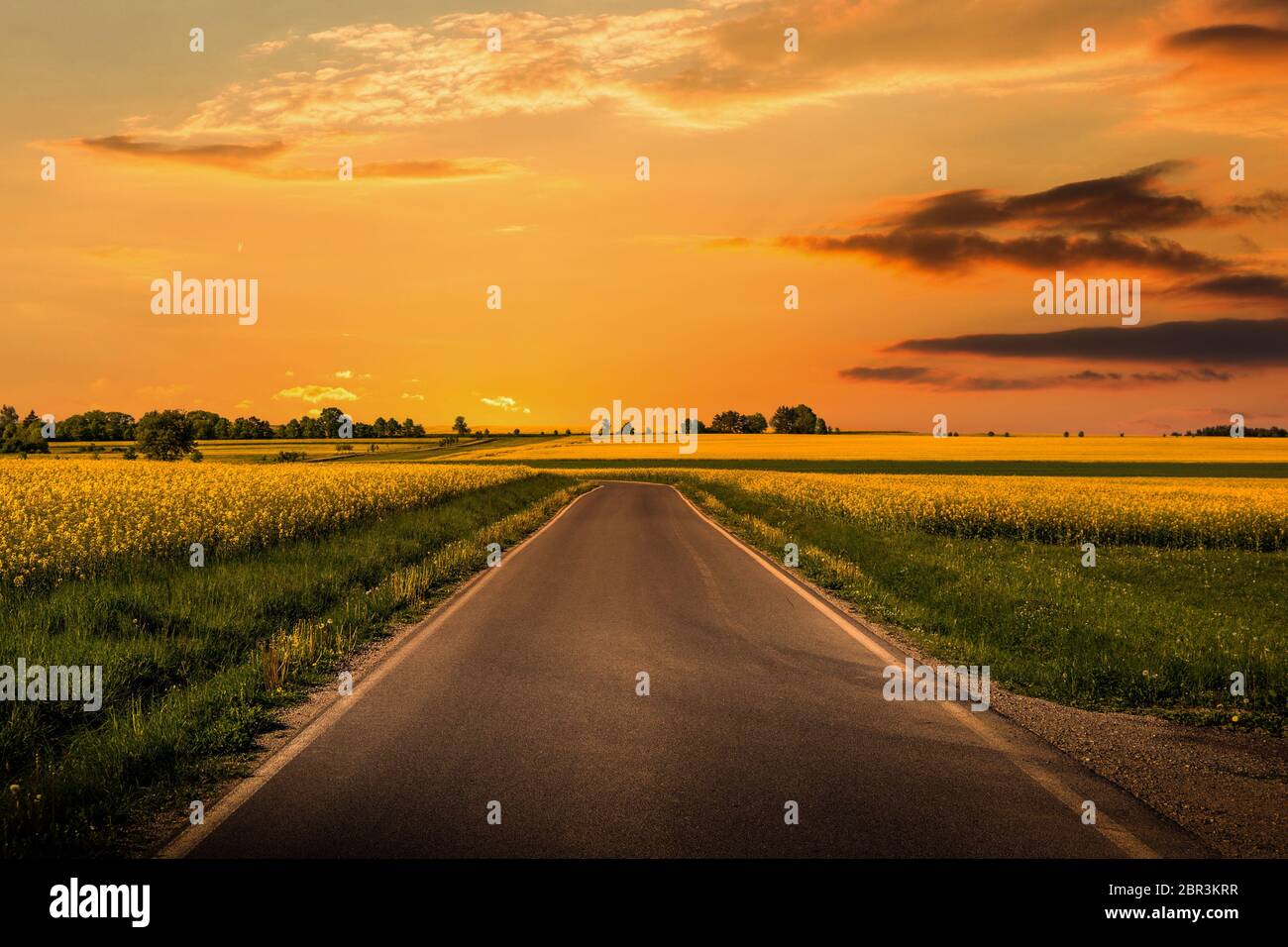 Tramonto su una strada di campagna vuota. Estate sera. Repubblica Ceca. Foto Stock