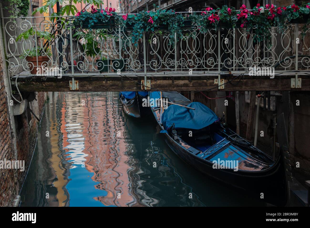 Impressioni invernali della 'Serenissima' Venezia in dicembre Foto Stock