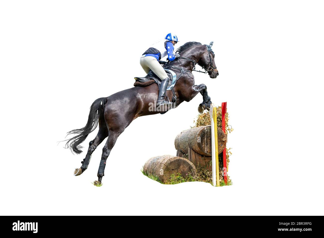 Eventing: Cavaliere equestre che salta sopra un ostacolo della recinzione del pennello Foto Stock