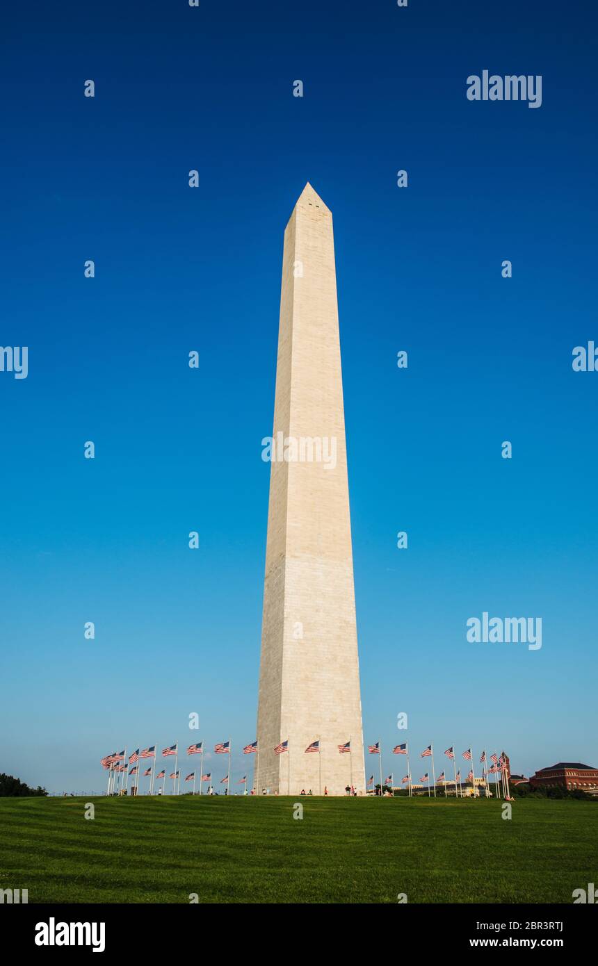 Monumento di Washington a washington DC, Stati Uniti Foto Stock