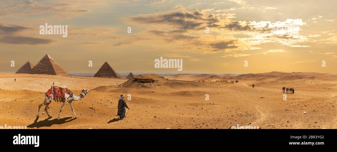Le Piramidi di Giza, panorama nel deserto con i beduini, Egitto. Foto Stock