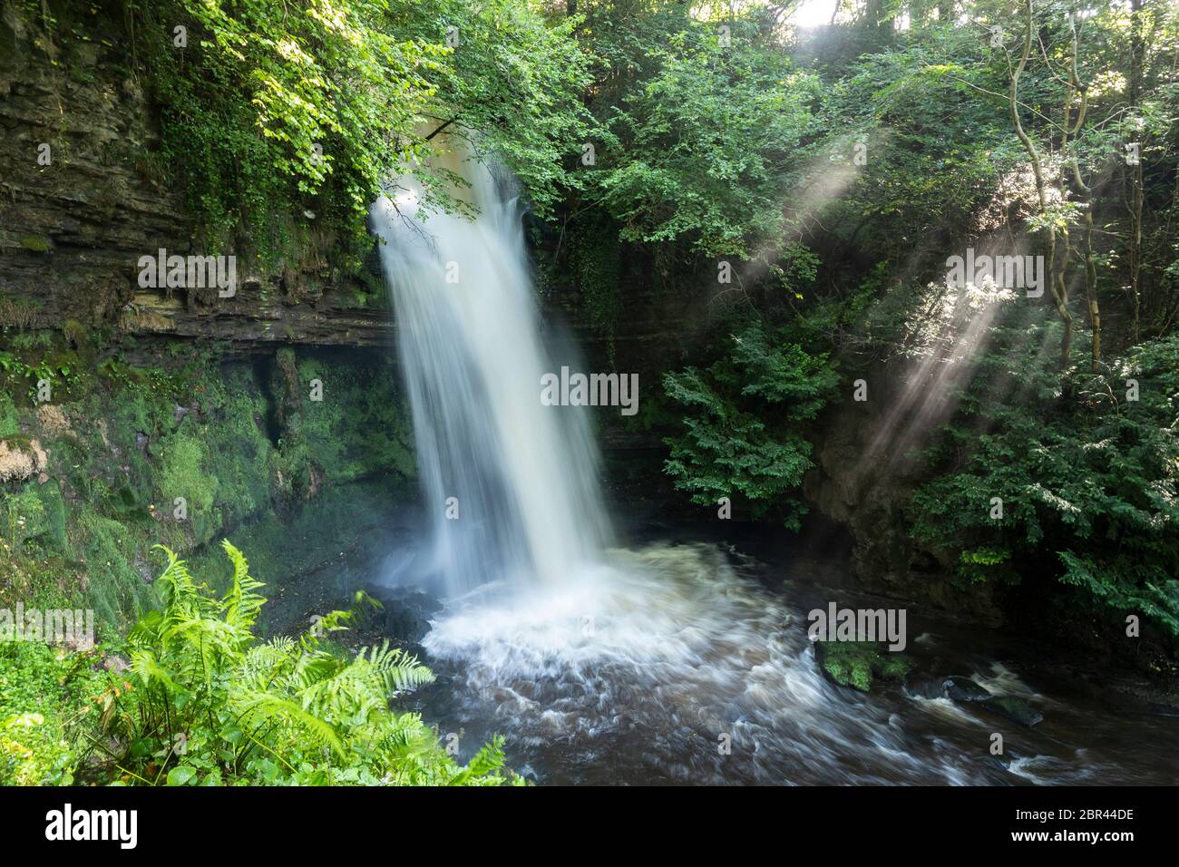 Glencar Waterfall, situato vicino al lago Glencar, 11 km a ovest di Manorhamilton nella contea di Leitrim, Irlanda Foto Stock