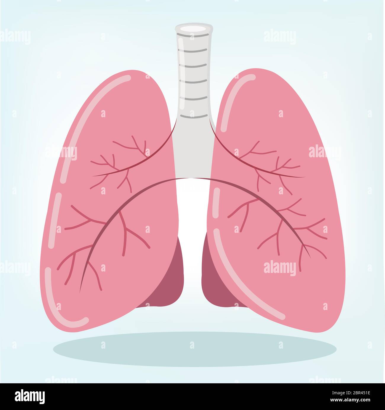 Forte del polmone autopsia concetto medico, visualizzazione 3D. Foto Stock