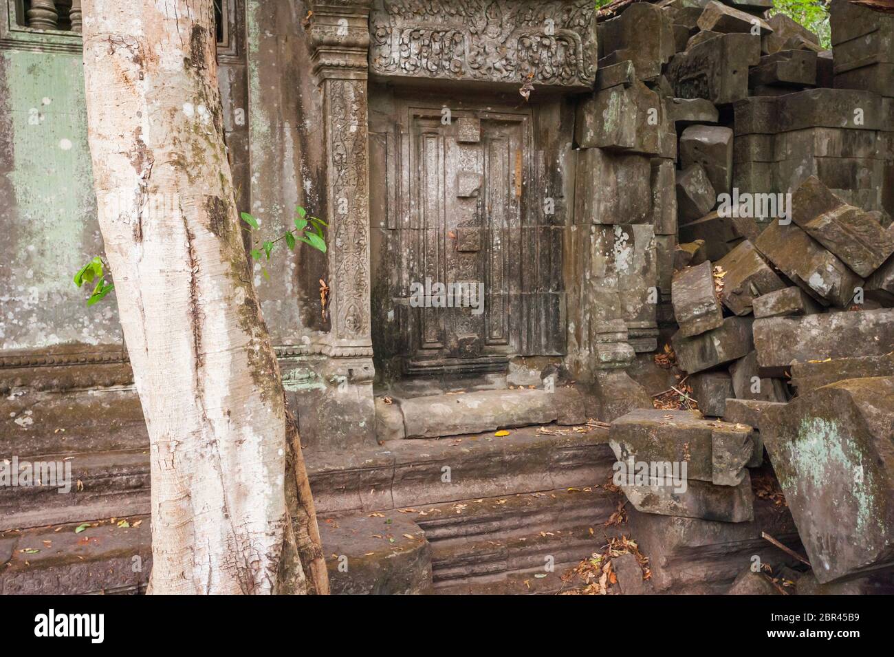 Rovine al Tempio della giungla di Beng Mealea. Angkor, Patrimonio dell'Umanità dell'UNESCO, provincia di Siem Reap, Cambogia, Sud-est asiatico Foto Stock