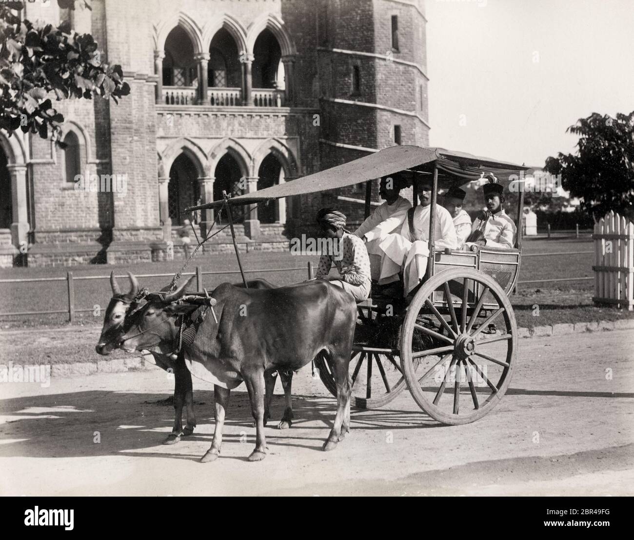 Carrozza trainata da buoi, gharry o gharrie, India Foto Stock