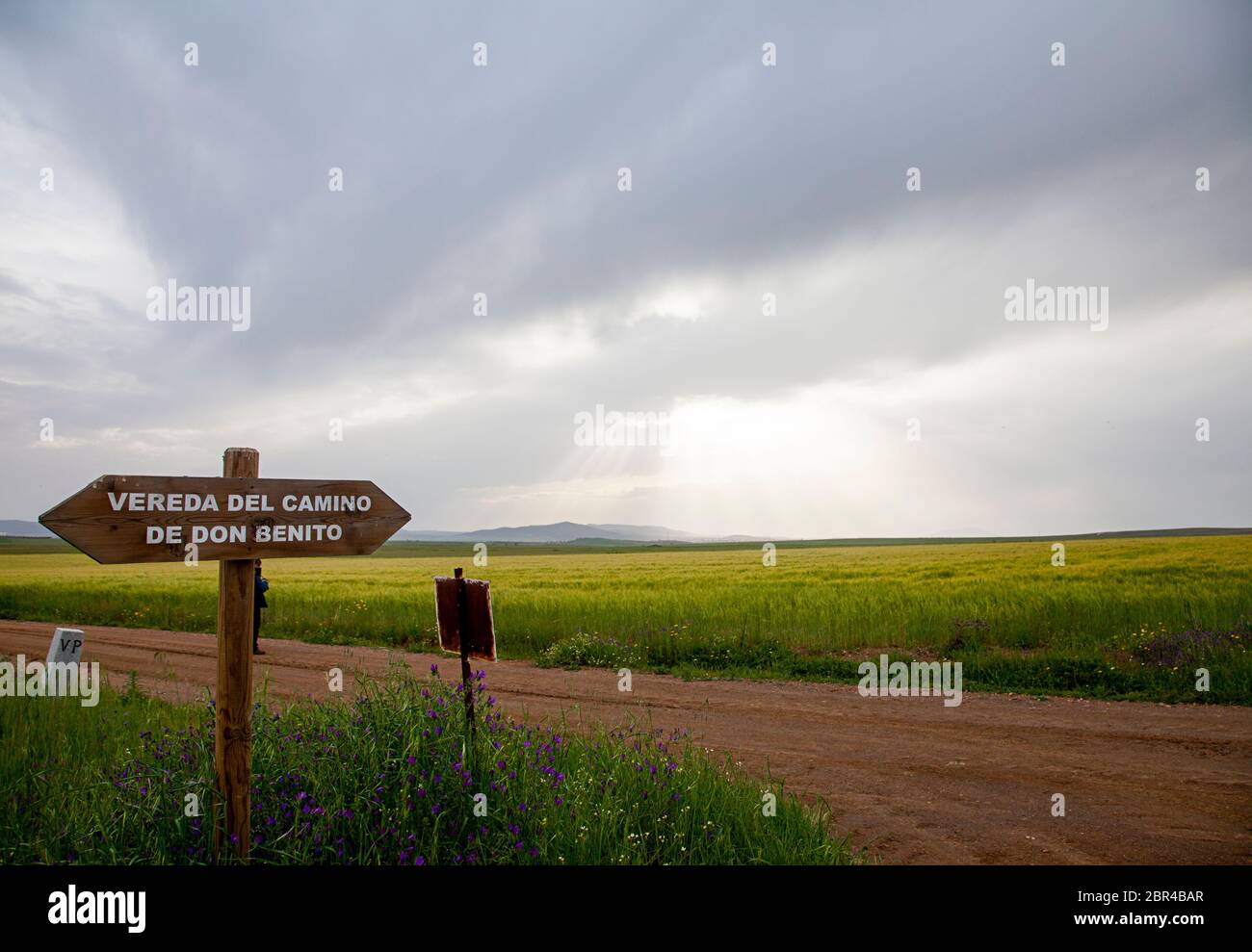 strada sterrata tra prodotti verdi con indicatore di direzione in un luogo Foto Stock