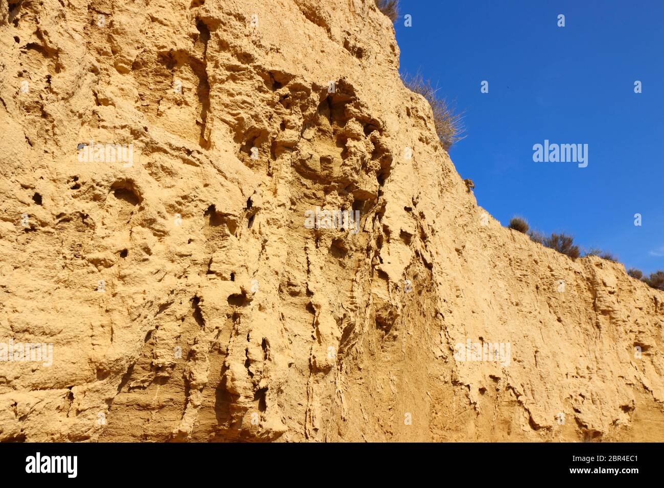 Primo piano di sedimenti e caratteristiche erosionali nella regione naturale semi-desertica Bardenas Reales, UNESCO Biosfera Reserve, Navarra, Spagna Foto Stock