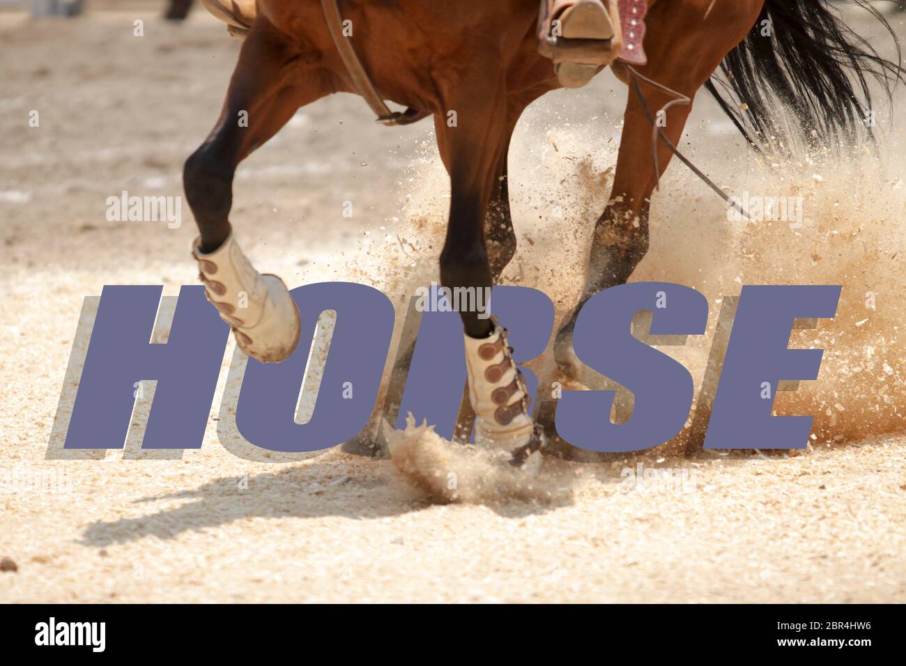 La parola CAVALLO scritto su una foto di cavalli galoppo come sfondo Foto Stock