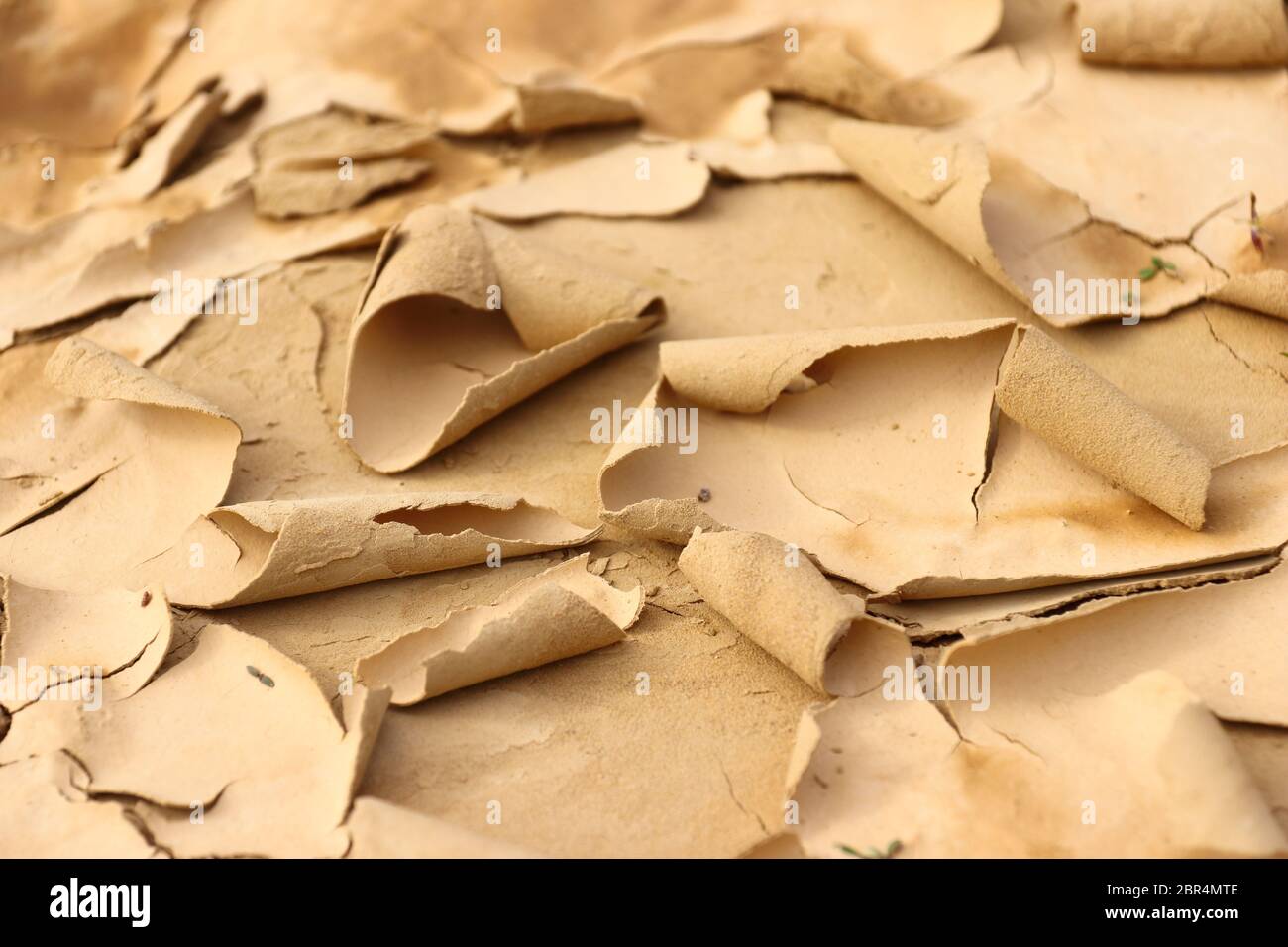 Primo piano di affascinanti forme naturali e di distinte crepe di essiccazione nella regione naturale semi-desertica Bardenas Reales, Navarra, Spagna Foto Stock