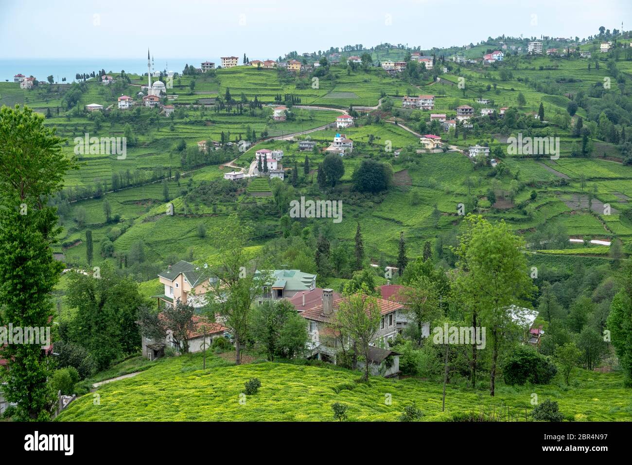 Villaggi tra piantagioni di tè nel distretto di iyidere della provincia di Rize Foto Stock