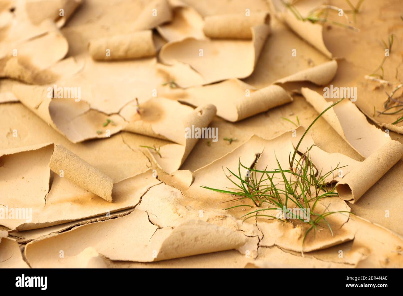 Primo piano di affascinanti forme naturali e di distinte crepe di essiccazione nella regione naturale semi-desertica Bardenas Reales, Navarra, Spagna Foto Stock