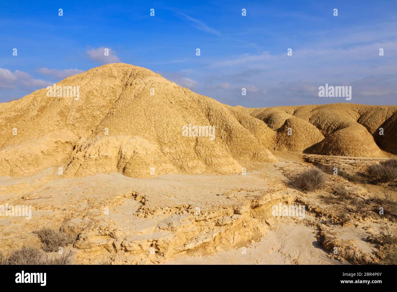 Le terre che colpiscono con crepe di essiccazione distinte nella regione naturale semi-desertica Bardenas Reales, la Riserva della Biosfera dell'UNESCO, Navarra, Spagna Foto Stock