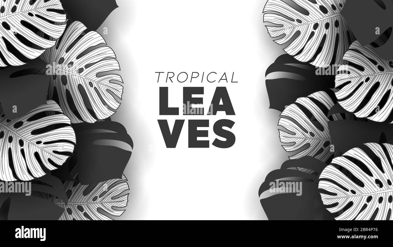 Estate tropicale lascia sfondo con piante giungla Illustrazione Vettoriale