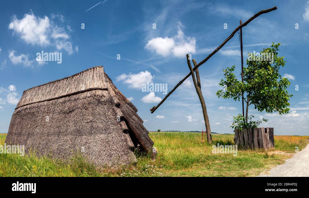 Draw bene e cottage canna in puszta, Parco Nazionale Lago Neusiedl, Burgenland, Austria Foto Stock