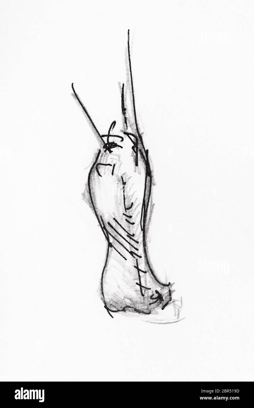 Schizzo della parte posteriore del piede è sulla punta disegnati a mano da nero a matita e inchiostro su carta bianca Foto Stock