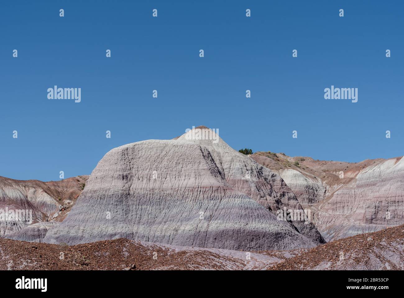 Paesaggio di colline aride a strisce al Parco Nazionale della Foresta pietrificata Foto Stock