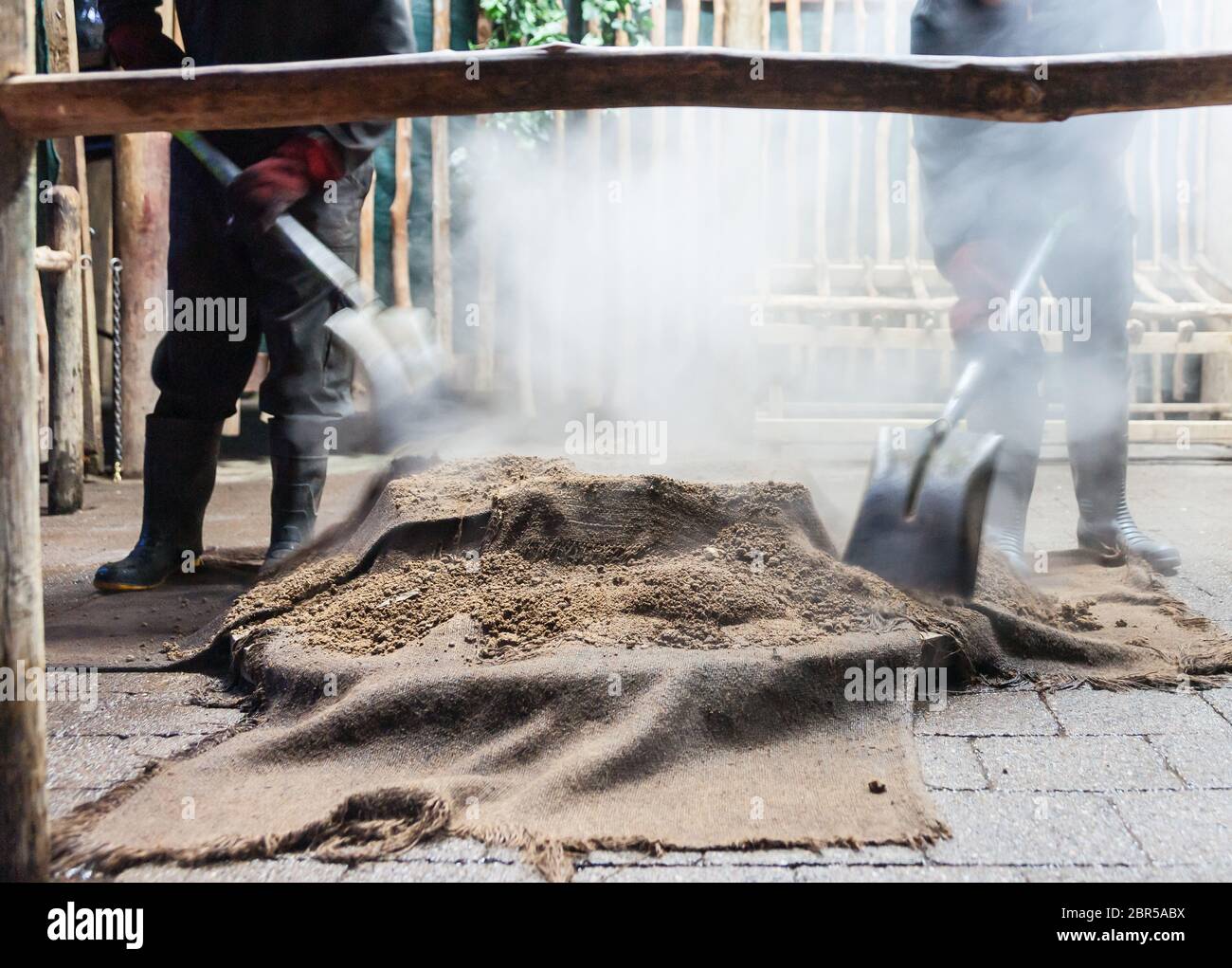 Fumo e polvere volano come cibo è in preparazione per una tradizionale festa maori o Hangi, fumando attraverso il calore da attività termale sotterranea o hea Foto Stock