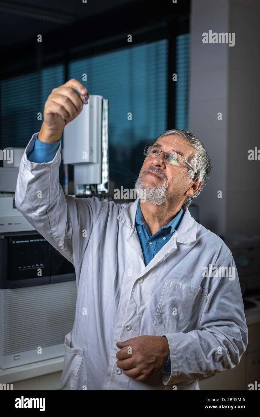 Senior Scientist in un laboratorio di chimica effettuando ricerche - guardando la gas cromatografia campioni, preparare l'analisi su un moderno chromatograp gas Foto Stock